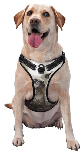 Mops Hunde Familie Bokeh Mutter und Jungtiere Hunde Haustiere, Haustiergeschirr, Verstellbares reflektierendes Hundegeschirr, Haustierleinenweste,XL