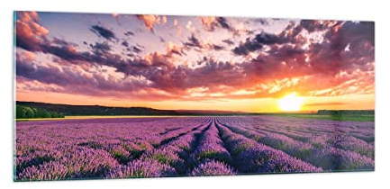 Panorama Bilder auf Glas 100x40cm Glasbild Lavendel Berge Feld Groß Wanddeko Bild im Glas Schlafzimmer Küche Wandbilder Dekoration Wohnzimmer Modern Wall Decor Wand Kunstdruck Art GAB100x40-3816