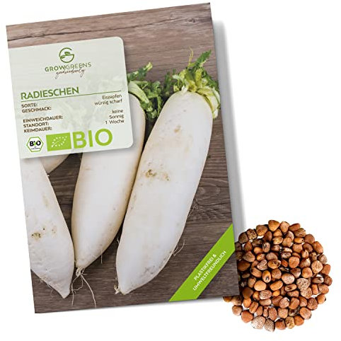 BIO Radieschen Samen (Eiszapfen, 50 Korn) - Radieschen Saatgut aus biologischem Anbau ideal für die Anzucht im Garten, Balkon oder Terrasse