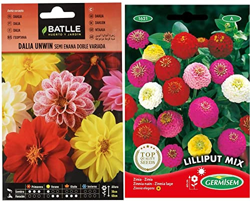 Semillas Batlle Dalia Unwin Semi Nano Doppia vda & Germisem Lilliput Mix Semi di Zinnia 1.5 g