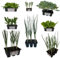P. Piantine da Orto | Kit Orto del Primo Sole, 9 Piantine di Cipolla, 9 Porro, 9 Lattuga, 6 Aglio, 9 Cipollotto, 9 Spinacio, 9 Catalogna, 6 Cappuccio, Tot 66 Piantine, Vere da Esterno, Vivaio Italiano