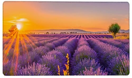 XXL Mauspad Gaming 150 x 80 cm - XXL Mousepad Groß Lavendel - Lila Tischunterlage Large Size - Verbessert Präzision und Geschwindigkeit - für Maus und Tastatur R-Z