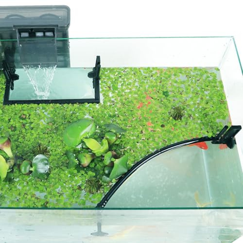 1 Ensemble d'anneau d'alimentation pour Poissons, barrière pour Plantes flottantes séparant Le Corral de Plantes flottantes, Corral 'Aquarium à Installation Facile, pour Intercepter Les
