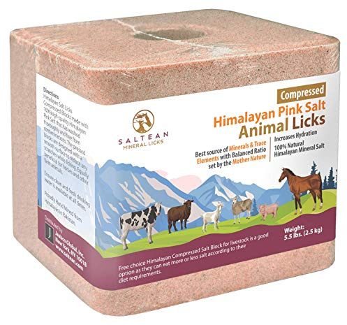 SALTEAN Compressed Himalayan Horses Lick Natural Pink Salt, with strong hanging Rope, No Starch(2.5 kg) Salt Range Pakistan