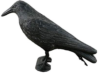Lebensgroße Kunststoff Schwarz Simulation Kunststoff Statue Jagdköder Köder Werkzeug Für Outdoor Garten Dekoration Abwehr von Tauben Möwen Kleinvögeln (Black, One Size)