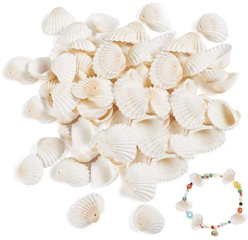 Muscheln Deko Muscheln zum Basteln Natürliche Jakobsmuscheln Kleine Muscheln mit Loch Strand Muschel Seashell Weiße Muscheln zum Auffädeln Bemalen 2,5-3cm Muschel Schmuck 500g für DIY Boho Deko