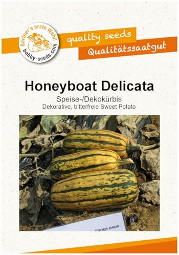 Honeyboat Delicata Kürbissamen von Bobby-Seeds, Portion