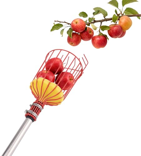 Fukaisu Recolector de Fruta de 411cm con Mango y Cesta, Acero Inoxidable Ajustable Herramienta Largo Alcance para Recoger Manzanas Melocotones Peras Limones Mangos y Aguacates