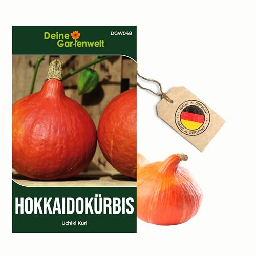 Hokkaido Kürbis Uchiki Kuri Samen - Cucurbita maxima - Kürbissamen - Gemüsesamen - Saatgut für 8 Pflanzen – 3er Pack