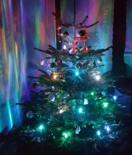 Trango 24-flammig 340146RGB LED-Christbaumkerzen Weihnachtskerzen RGB Farbwechsel – 24 LED-Kerzen mit Stecksystem Innenbereich – leuchtende Weihnachten