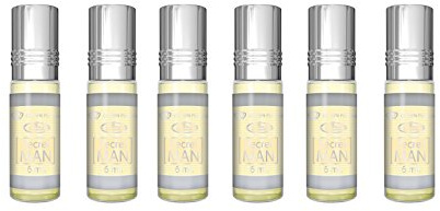 Secret Man - 6ml (.2oz) Roll-on Perfume Oil by AlRehab (Box of 6)