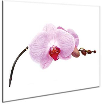 SemUp - Panneau de protection en céramique pour plaque à induction électrique - 60 x 52 cm - Grande planche à découper - Verre trempé - Découpe murale de cuisine