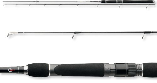 Cormoran Team Cormoran X-Power Salzwasser Spinnrute 2,40m 8-35g Handmade