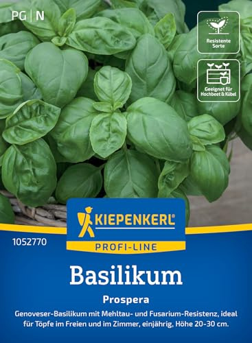 Kiepenkerl Basilikum Prospera F1 1052770, Kräutersaat | 20-30 cm, aromatisch, für Freiland & Topf