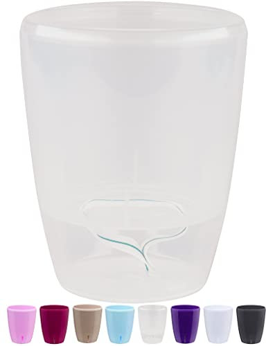 Santino Maceta para Orquídeas Ø 12cm Maceta Autorriego con Sistema de Mecha e Indicador de Nivel de Agua para Interior (Ø 12cm - 1,3L - Transparente)