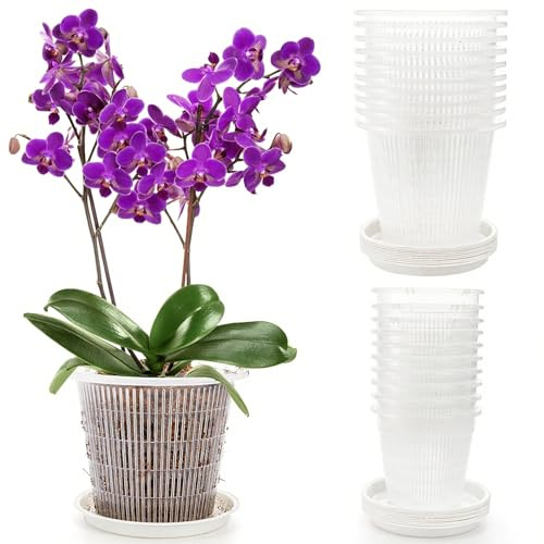 Peohud 20 Pack Clear Orchid Pots with Drainage Hole and Tray, 11/14cm Plastic Plant Nursery Pots with Saucers, Houseplant Pots for Repotting Orchids, Indoor Gardening Slotted Mesh Net Pot