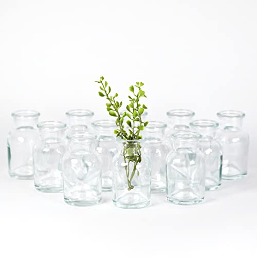 gouveo 12er Set Mini Glasvase 60 ml (0,06 l) Glasvase 60 ml rund (Clear-Bottle) offene Deko-Vasen aus Klarglas für Blumen & Trockenblumen, Tischdeko & Raumdeko (CBVT060)