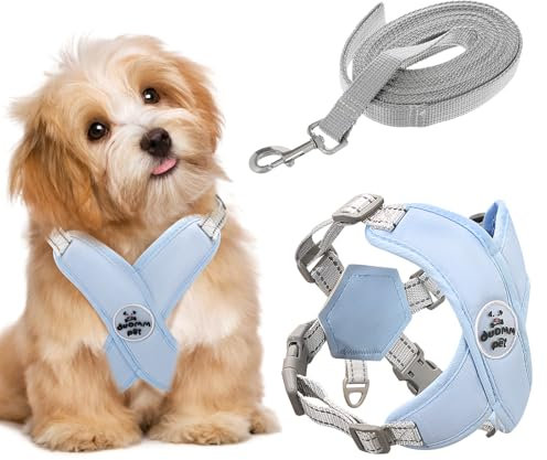 AYSYR Hundegeschirr Kleine Hunde,Hundegeschirr Welpen Reflektierende,Dog Harness Atmungsaktives,Brustgeschirr mit Leine Verstellbarer,Anti Zug Geschirr Verstellbare Leichtes (S, Blau)
