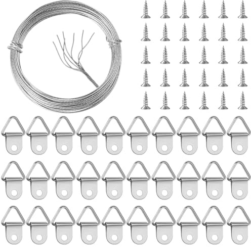 LLMSIX 32.8 Feet/10m Picture Hanging Wire Kit, Stainless Steel Hanging Picture Hooks and Wire Set with 30 D Ring Hangers 30 Screws for Photo Frames Mirror Wall Art