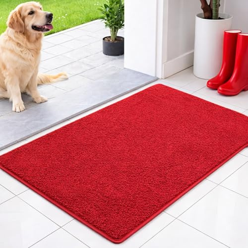 Floordirekt Schmutzfangmatte innen 60 x 90 cm - Rot - rutschfeste Maschinenwaschbare Fußmatte - Türmatte Sauberlaufmattestürmatte - Fussmatte für Hund - Haustür & Flur - NASA