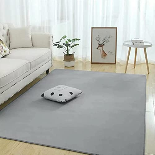 Alfombra de Terciopelo Coral Grueso de Color sólido Calidad Gris ahumado elegante Suave Lavable Antideslizante Grande Rugs Minimalista Moderna Sala Estar Dormitorio Tatami Gateando Estera -120×140cm