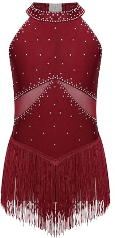 Kvysinly Mädchen Tanzkleid Fransen Ballettkleidung Glitzer Ballettkleid Tanzbody Trikot Kleid Wettbewerb Rock Tanzkostüme
