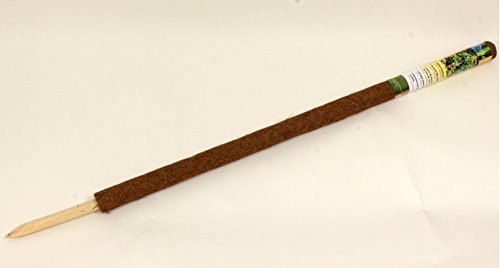 Lucht H6511014 Kokos-Rankstab, 110 cm verlängerbar 6 Stück