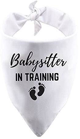 1 Stück Babysitter in Training Hund Bandana Geschwistertuch Haustier Bandana Baby Ankündigung Geschenk (Babysitter Weiß)