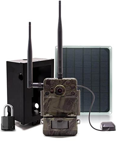 Active Media Concept Caméra de Chasse Ultra HD 4K IR Invisible GPS GSM 4G Envoi Photo et vidéo sur iOS et Android Serveur Cloud e-Mail et FTP avec Box et Panneau Solaire