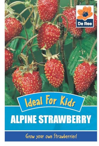 Alpine Strawberry Seeds - 165 Seeds Vegetable Grow Your Own Garden Salad Herb Vegetable Seed Ideal for Kids