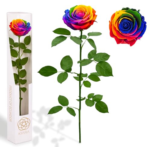 Gdecora Rosa Eterna Preservada de Color Arco Iris con Tallo 55cm Mujer,Mamá,Novia,Abuela- Flores Infinita para Cumpleaños,San Valentín,Día de la Madre, Rosas Preservadas Rainbow Rainbow