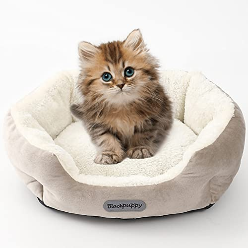 Nyescasa Hundebett Katzenbett Hundecouch Hundematte Hundekörbchen Katzenschlafplatz Hundesofa Katzensofa Kissen Plüsch Waschbar rutschfest für Große Katzen Hunde Runde Beige L(58 * 50 * 15)