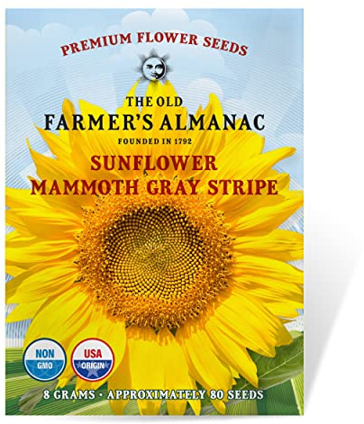 The Old Farmer's Almanac Sunflower Seeds (Mammoth Gray Stripe) - Approx 80 Flower Seeds - Premium Non-GMO, Open Pollinated, USA Origin