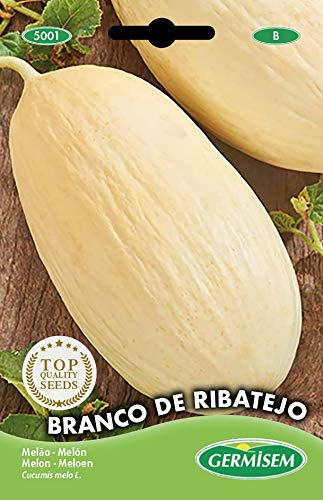 Germisem graines Melon BRANCO DE RIBATEJO