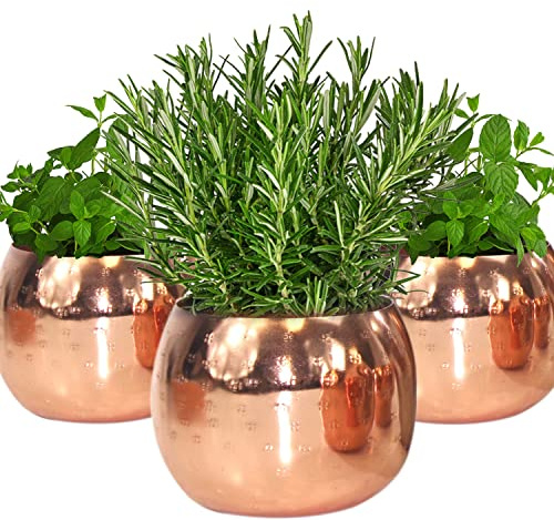 QMBasic Gourmet KRÄUTERTOPF 3- TEILIG ohne Bewässerungssystem Kräutergarten für die Küche | 10 x 11 x 10 cm für frische Küchenkräuter in Gold