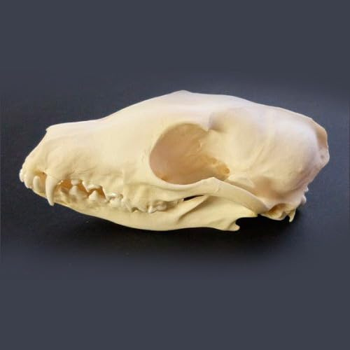 De Museumwinkel.com 50010
