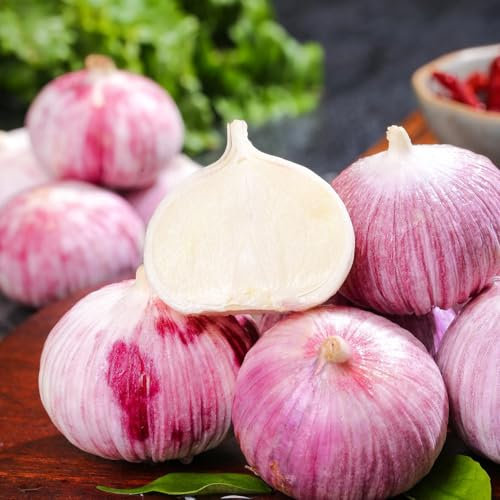 5 pcs Knoblauch Garlic Zwiebeln, Gewächshaus Balkon, Pflanzknoblauch Winterhart, Dekoration Wohnzimmer Hochbeet Kaufen Kräuterpflanzen, Exotische Pflanzen Winterhart Kräutergarten