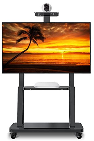 GGZONE 40-75 Inch TV Floor Stand With Wheels, Mobile Universal TV Cart For Lcd, Led, Flat Screen And Curved TVs, Black, Load 150Kg beautiful scenery