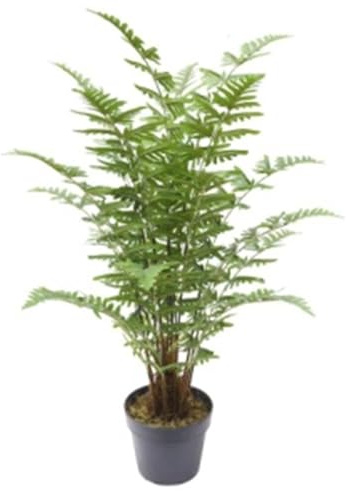 Leaf Artificial Realistic Natural Look Moss Fern in Pot