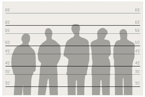 Hahafelt Mugshot Backdrop Photo Booth Police Lineup Height Charts Photo Props Background Accurate Measurements Poster for Halloween Crime Scene Murder Mystery Party Decorations