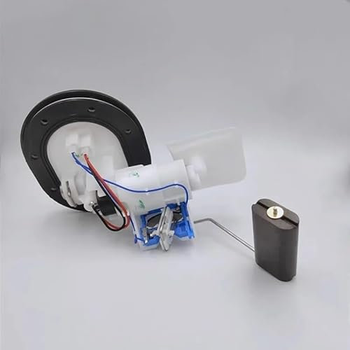 Motorrad-Kraftstoffpumpen Für LONCIN Für Voge LX300-6A -6C 300 RR 300RR LX300GS-B LX 300 GS-B 300 AC 300AC Motorrad Motor Kraftstoff Pumpe Injection Benzin Öl Pumpe Benzinpumpe