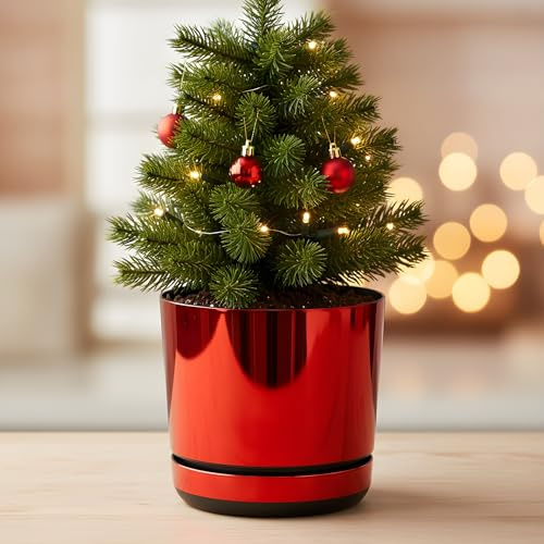 KORAD Red Mirror Indoor Plant Pots with Saucers and Drainage Holes, Round, Modern and Decorative Flowerpot for Houseplants, 6 sizes, 25 colours, Planters for Indoor Plants- (18 cm)