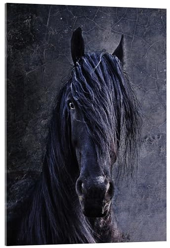 Posterlounge Der Friese Acrylglasbild von Joachim G. Pinkawa 70 x 90 cm Schwarz Wandbilder Wanddeko
