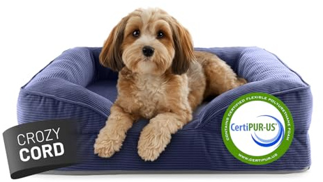 Lumaland orthopädisches Hundebett aus Cord | ergonomisches Hundesofa 70x60 cm - für kleine Hunde | Boden rutschfest | Füllung und Bezug waschbar | Hundekörbchen mit Memory Schaumstoff