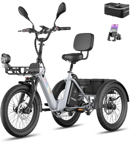 Fafrees F20 Mate II E-Dreirad für Senioren | Elektro Dreirad Klappbar für Damen & Herren, 250W 48V, 180KG Belastung, Hydraulische Bremsen, 20 Zoll, IPX5, Grau, 21Ah