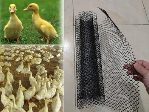 Drahtgitter Maschendraht Gartenzaun Kunststoff Maschendrahtzaun Rolle Schwarz, Geflügel-Tierschutznetz Für Hühner, Kaninchen, Eichhörnchen Und Katzen, Hunde, Sicherheitsnetz Für Balkone Hasendraht Vol