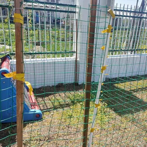 Recinzione in rete metallica antiruggine per giardino e pollame, rivestita in PVC, protezione durevole, ideale per orti di frutta e bestiame