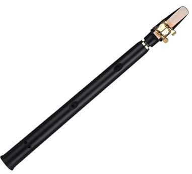 Eacam Mini Sax Tascabile, Sassofono BB ABS con Bocchino Alto, Bellissimi Motivi, Leggeri, 2 Borse da Trasporto, 10 Canne, Adatti a Qualsiasi Musica Dilettante e Persona Professionale