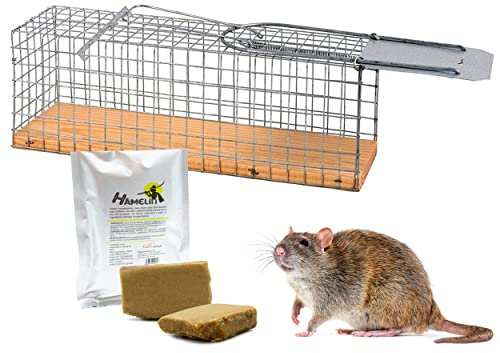 FINCA CASAREJO Trampa Ratas - Captura Ratas vivas sin matarlas - Reutilizable (DJTRG) - Incluye Hamelin, Atrayente Natural de Ratones y Ratas