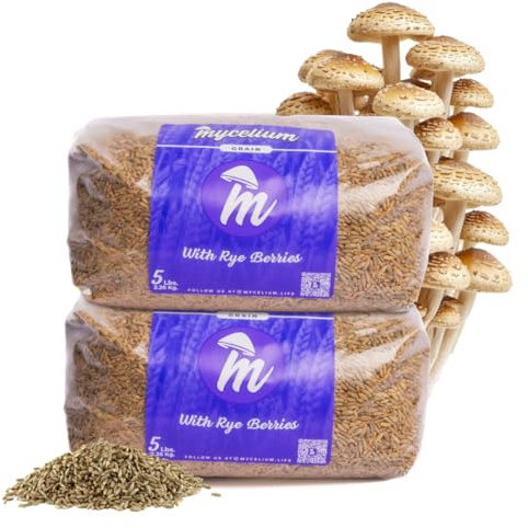 Mycelium Rye Berries Grain Spawn | 2-Pack (5 lb Each) | Pre-Sterilized Mushroom Substrate with Self-Healing Injection Ports | 10 lb Bulk Supply for High-Yield Cultivation | Easy & Ready to Use